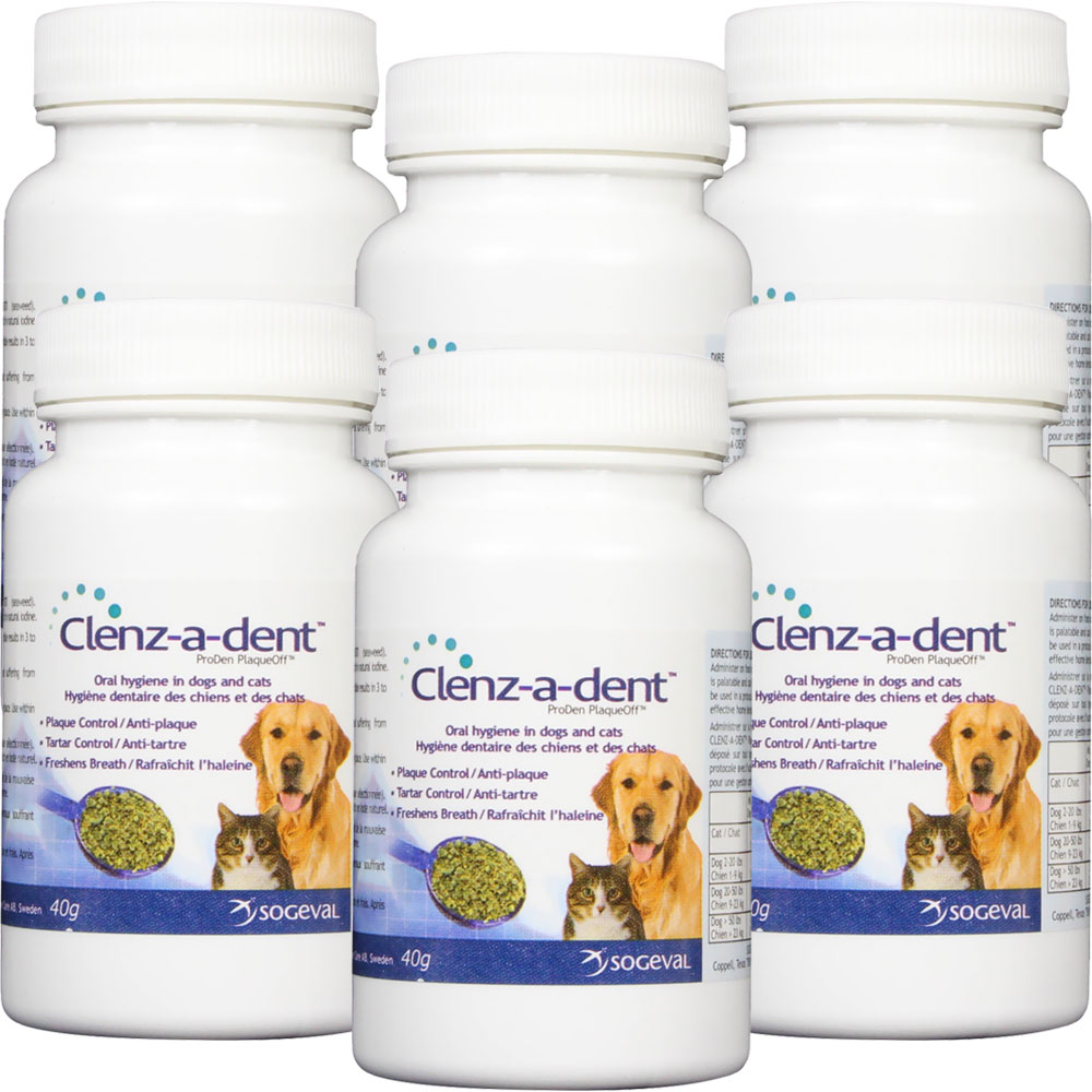 CLENZ-A-DENT-FOOD-ADDITIVE-240-GM