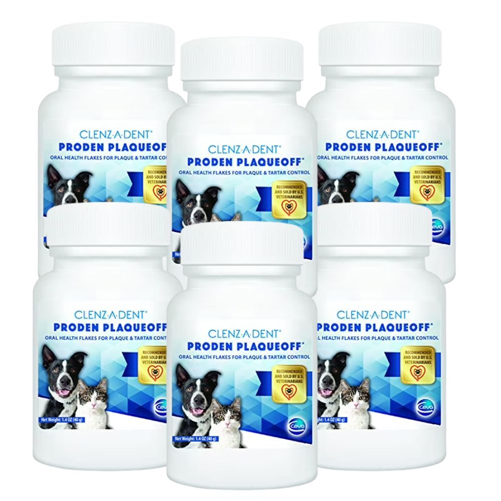 CLENZ-A-DENT-FOOD-ADDITIVE-240-GM