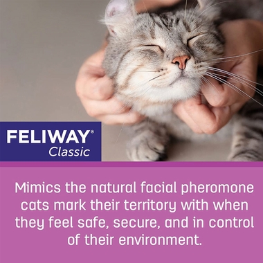 FELIWAYDIF6PK