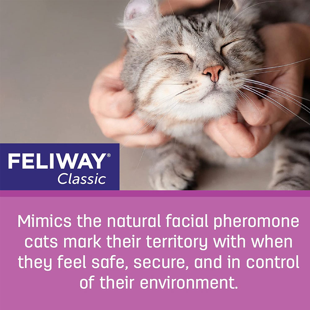 FELIWAYDIF6PK