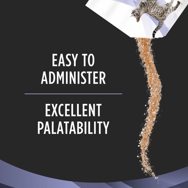 FOTIFLORA-FELINE-6PACK