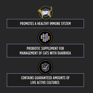 FOTIFLORA-FELINE-6PACK