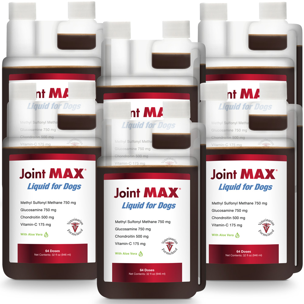 JOINTMAXLIQ6PK