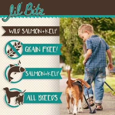 LIL-BITZ-WILD-SALMON-TREATS-6PACK