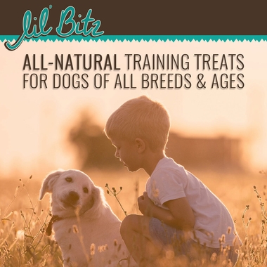 LIL-BITZ-WILD-SALMON-TREATS-6PACK