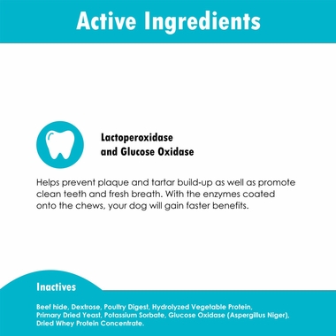 6-PACK-ORA-CLENS-ORAL-HYGIENE-CHEWS-LARGE-180-CHEWS