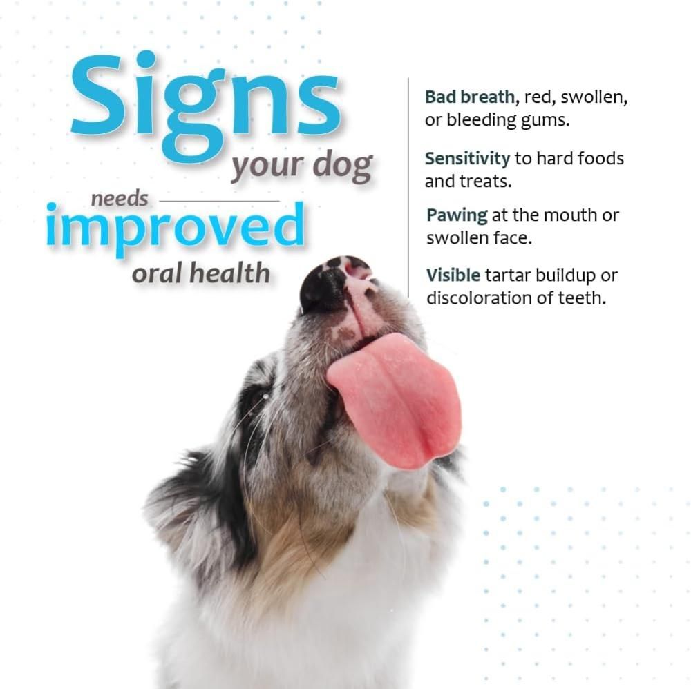 6-PACK-ORA-CLENS-ORAL-HYGIENE-CHEWS-LARGE-180-CHEWS