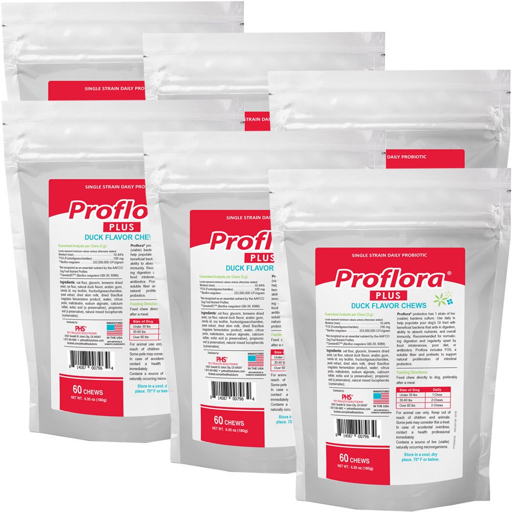 PROFLORA-PLUS-PROBIOTIC-SOFT-CHEWS-6PACK