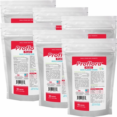 PROFLORA-PLUS-PROBIOTIC-SOFT-CHEWS-6PACK