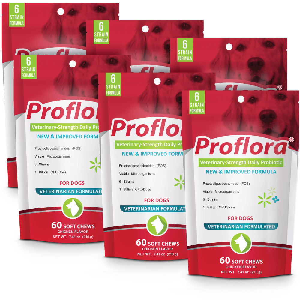 6-PACK-PROFLORA-PROBIOTIC-SOFT-CHEWS-360-COUNT