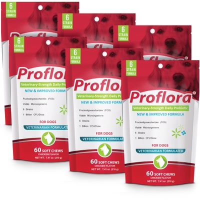 6-PACK-PROFLORA-PROBIOTIC-SOFT-CHEWS-360-COUNT