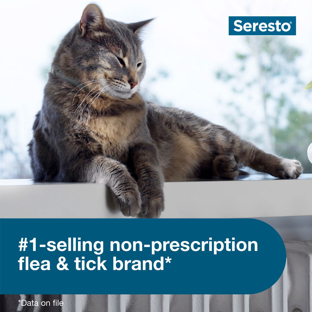SERESTO-CATS-6-PACK-TAPEWORM