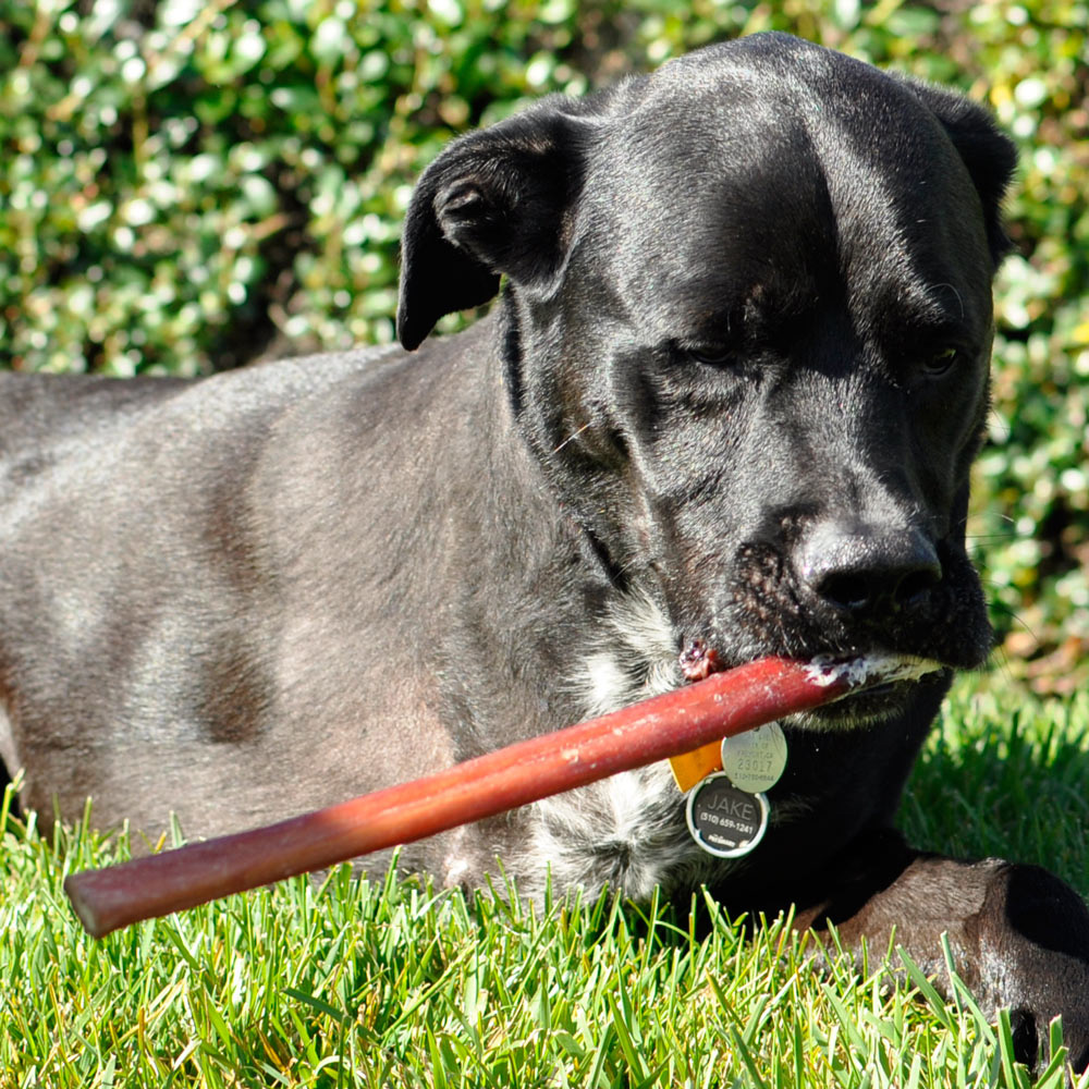 SPIZZLES-BEEF-BULLY-STICKS-6-PACKS