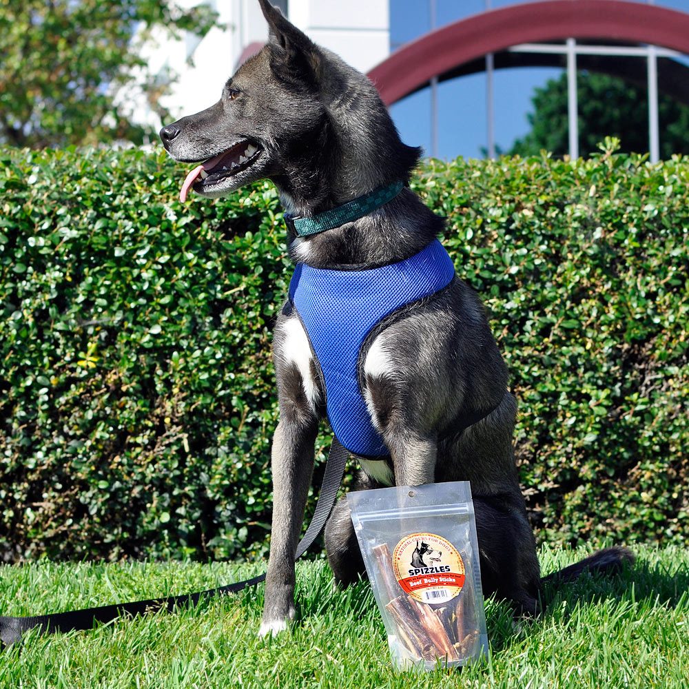 SPIZZLES-BEEF-BULLY-STICKS-6-PACKS