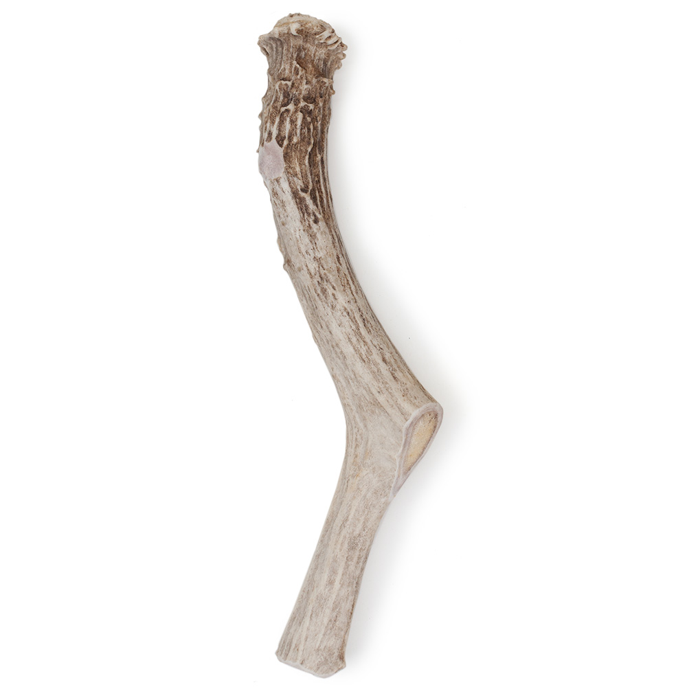 SPIZZLES-DEER-ANTLER-DOG-CHEW-SOLID-JUMBO-6PACK