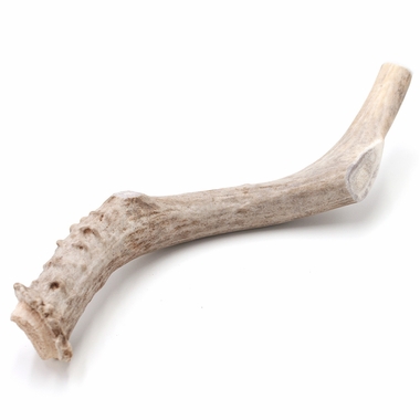 SPIZZLES-DEER-ANTLER-DOG-CHEW-SOLID-LARGE