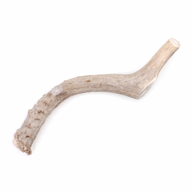 SPIZZLES-DEER-ANTLER-DOG-CHEW-SOLID-LARGE