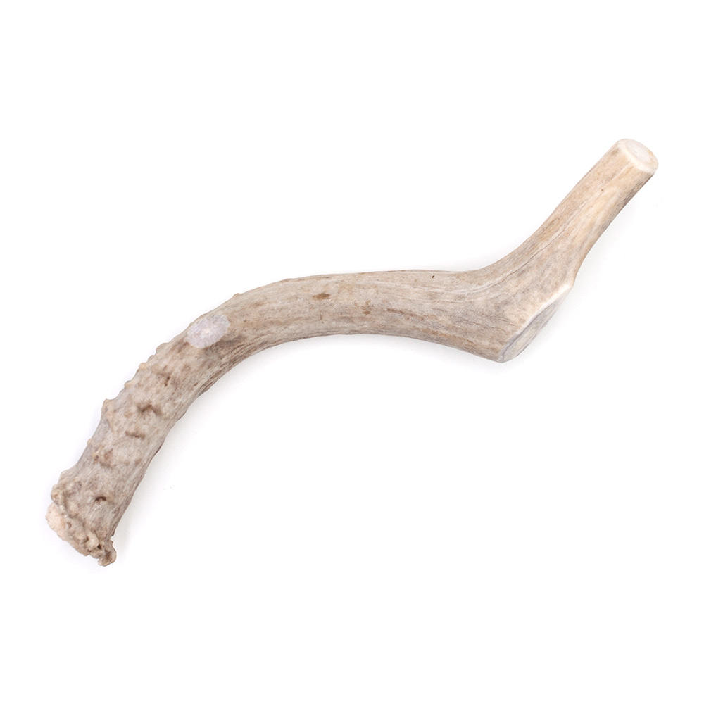 SPIZZLES-DEER-ANTLER-DOG-CHEW-SOLID-LARGE