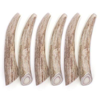 SPIZZLES-DEER-ANTLER-DOG-CHEW-SOLID-SMALL-6PACK