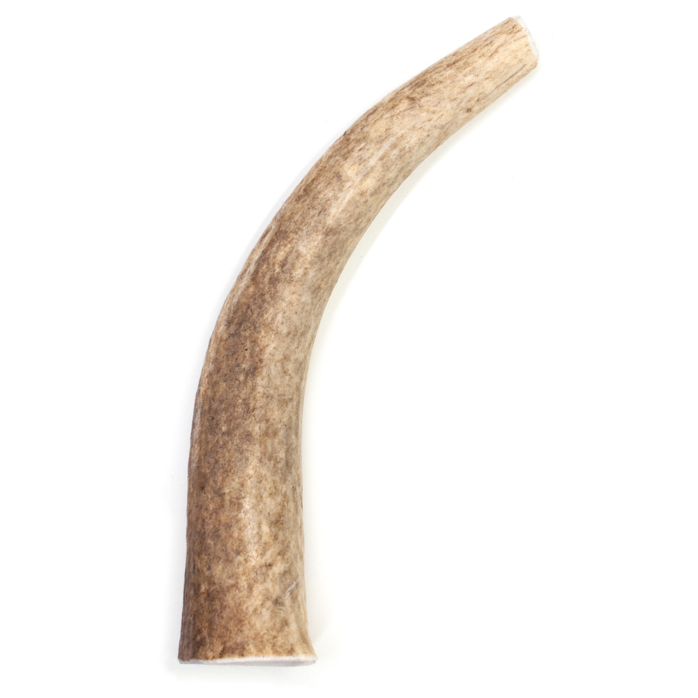 SPIZZLES-ELK-ANTLER-DOG-CHEW-SOLID-JUMBO-6PACK