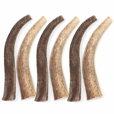 SPIZZLES-ELK-ANTLER-DOG-CHEW-SOLID-JUMBO-6PACK