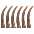 6-PACK Spizzles Elk Antler Dog Chew - Solid (Large) 7"