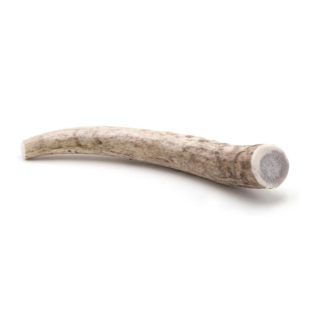 SPIZZLES-ELK-ANTLER-DOG-CHEW-SOLID-MEDIUM-6PACK