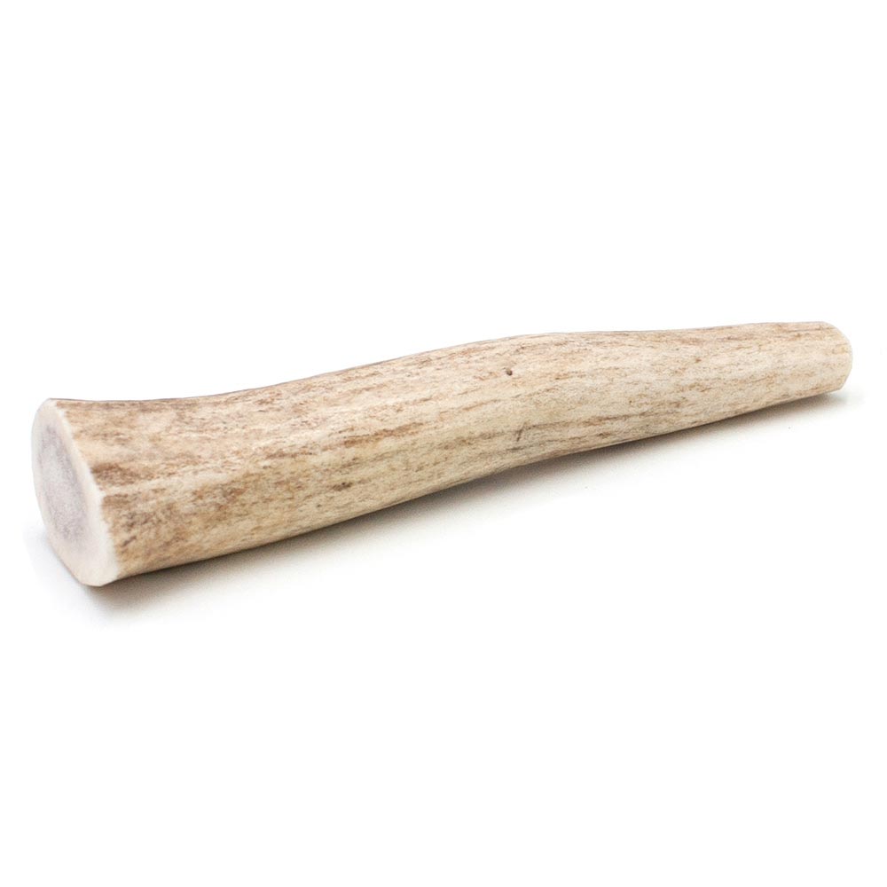 SPIZZLES-ELK-ANTLER-DOG-CHEW-SOLID-SMALL-6PACK