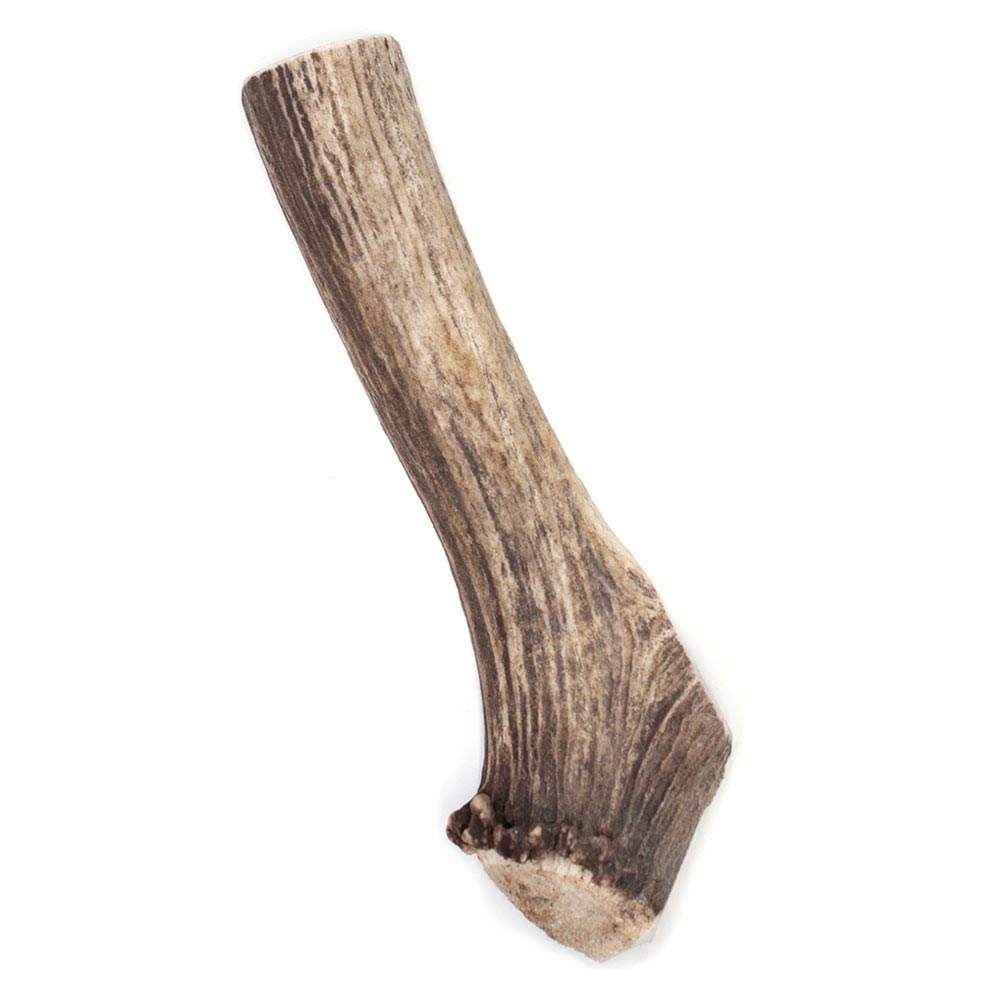 SPIZZLES-ELK-ANTLER-DOG-CHEW-CENTER-CUT-LARGE-6PACK