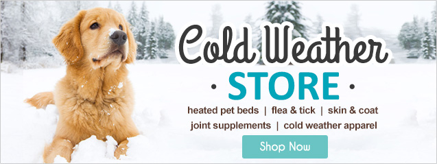 7 Cold Weather Tips for Senior Dogs