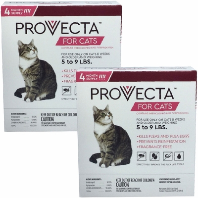 8-MONTH-PROVECTA-CATS