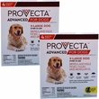 8 MONTH Provecta Advanced for Extra Large Dogs (Over 55 lbs)