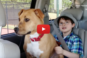 A Boy And His Loving Dog Who Helped Him Through Everything
