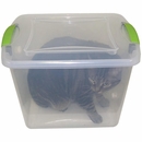A.M. Bickford Veterinary Induction Chamber Model 90200 for Small Animals