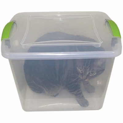 AM-BICKFORD-INDUCTION-CHAMBER-SMALL-ANIMALS
