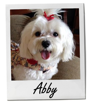 Abby 3/5/14