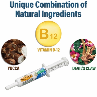 ABSORBINE-BUTE-LESS-COMFORT-RECOVERY-SUPPORT-PASTE-30GM