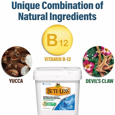 ABSORBINE-BUTE-LESS-COMFORT-RECOVERY-SUPPORT-PELLETS-10LB