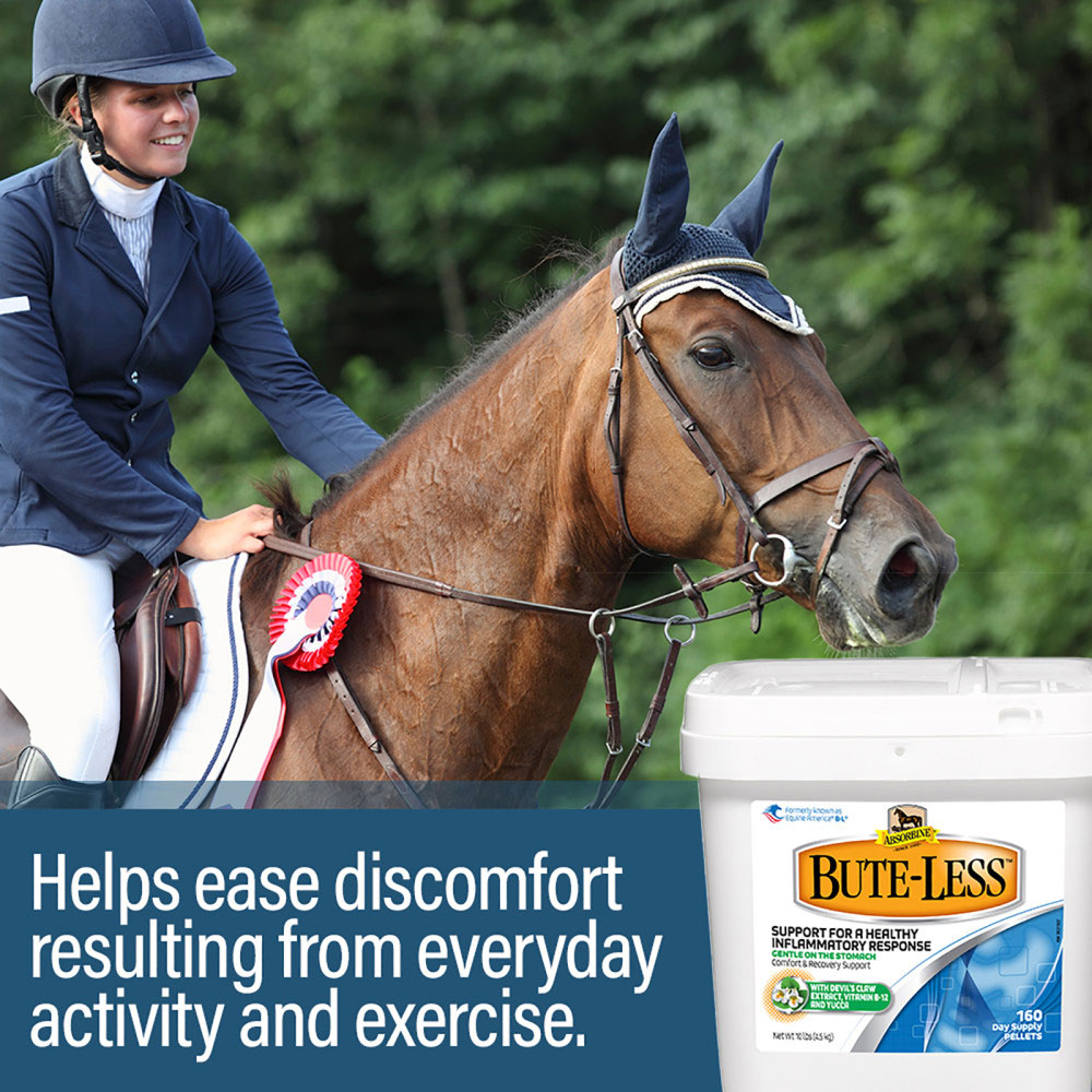 ABSORBINE-BUTE-LESS-COMFORT-RECOVERY-SUPPORT-PELLETS-10LB