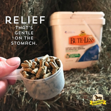 ABSORBINE-BUTE-LESS-COMFORT-RECOVERY-SUPPORT-PELLETS-10LB