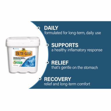 ABSORBINE-BUTE-LESS-COMFORT-RECOVERY-SUPPORT-PELLETS-5LB