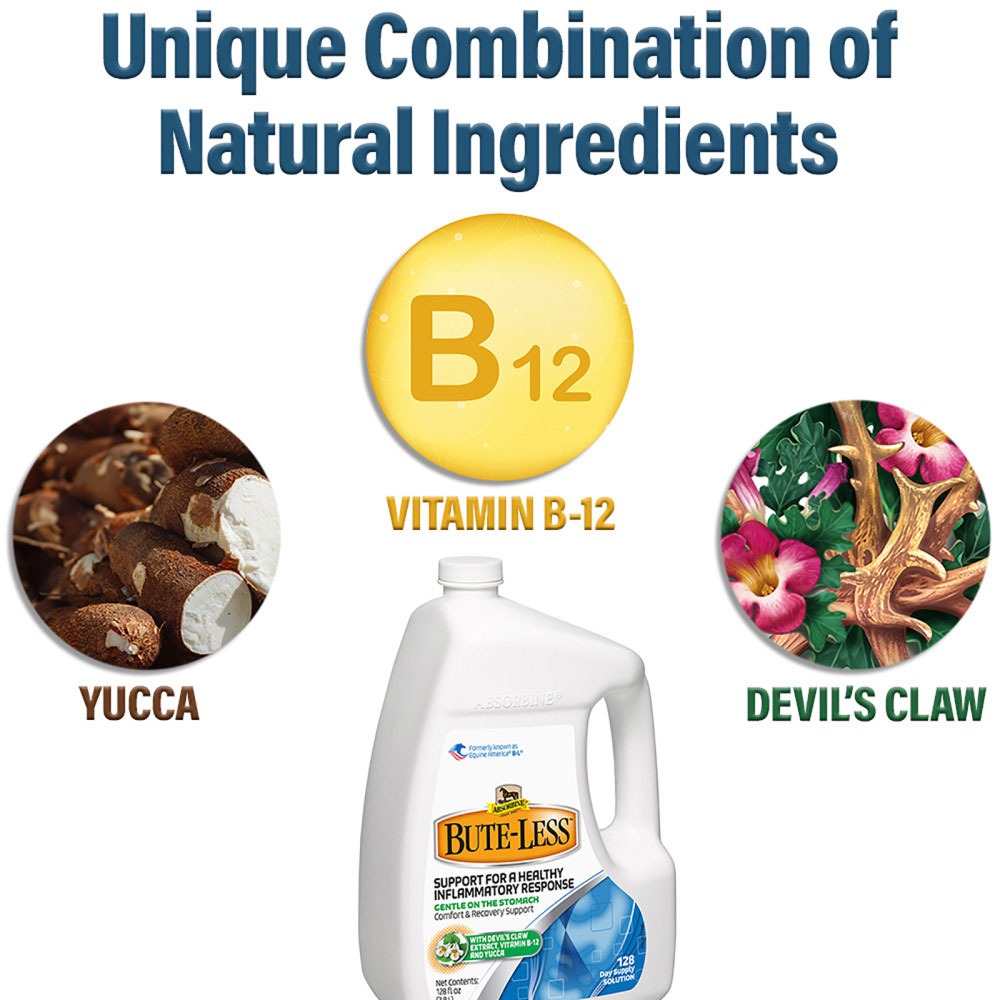 ABSORBINE-BUTE-LESS-COMFORT-RECOVERY-SUPPORT-SOLUTION-1-GALLON