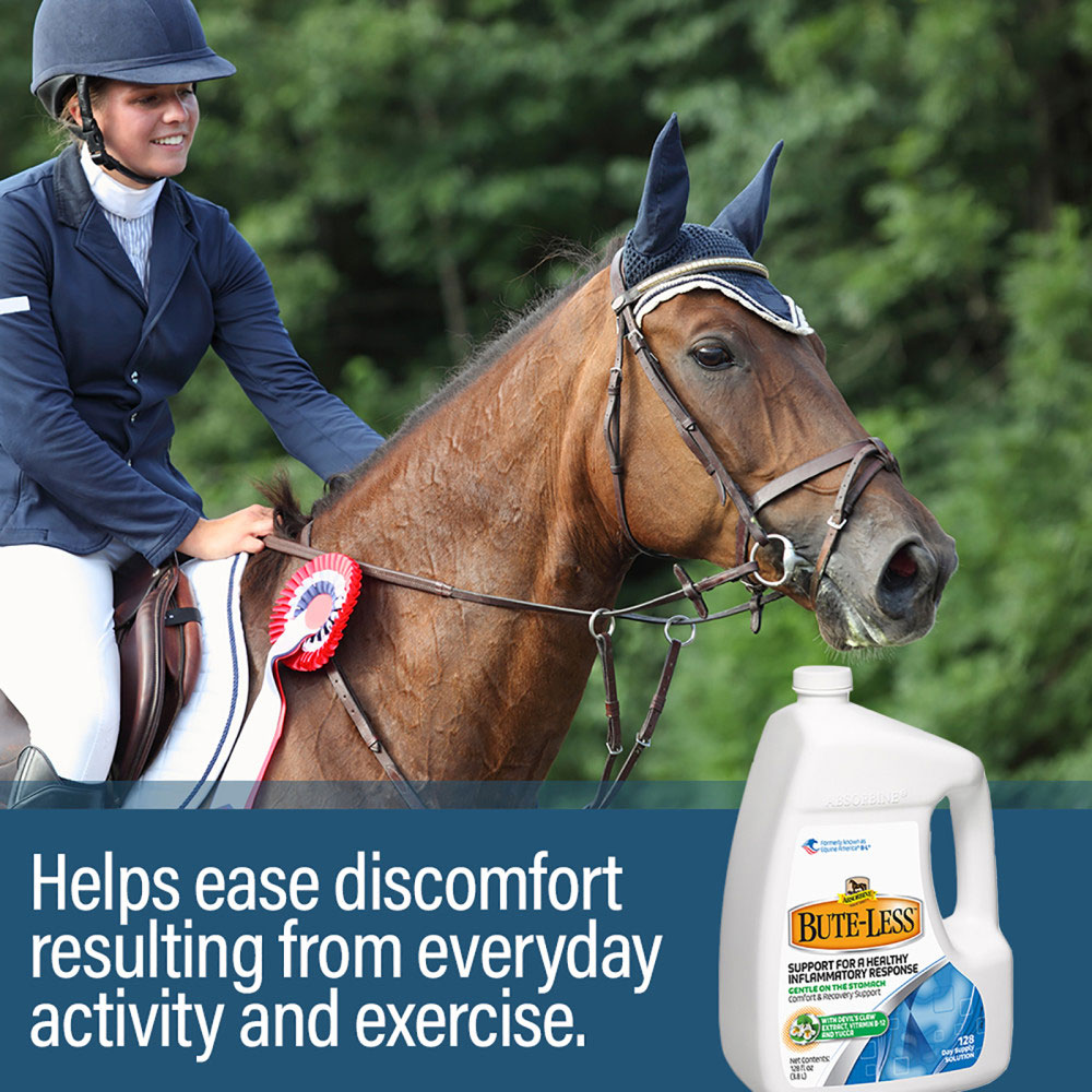 ABSORBINE-BUTE-LESS-COMFORT-RECOVERY-SUPPORT-SOLUTION-1-GALLON