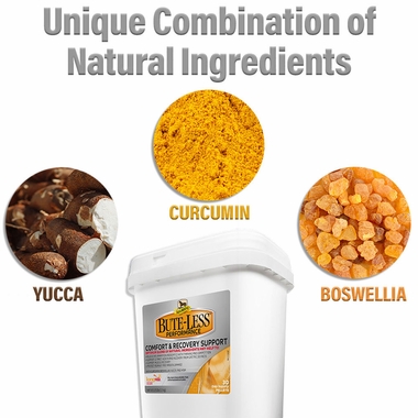 ABSORBINE-BUTE-LESS-PERFORMANCE-PELLET-3-75-LB