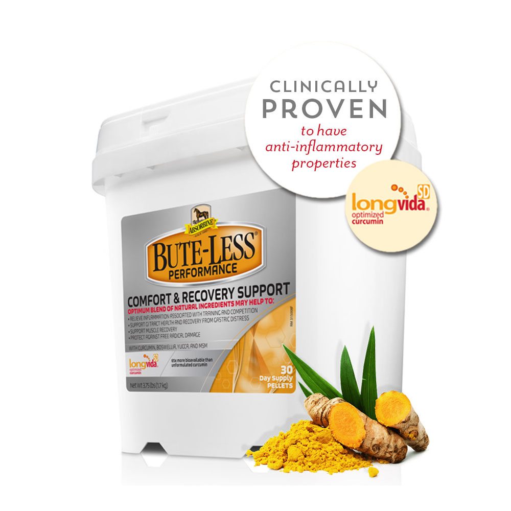 ABSORBINE-BUTE-LESS-PERFORMANCE-PELLET-3-75-LB