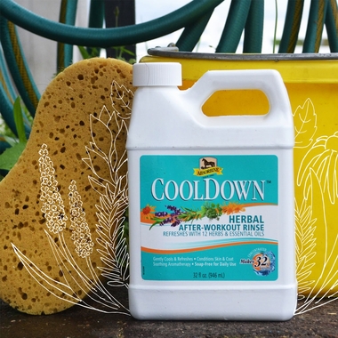 ABSORBINE-COOLDOWN-HERBAL-AFTER-WORKOUT-RINSE-32OZ