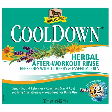 ABSORBINE-COOLDOWN-HERBAL-AFTER-WORKOUT-RINSE-32OZ