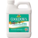 Absorbine Cooldown Herbal After-Workout Rinse, 32oz