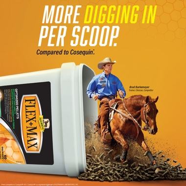 ABSORBINE-FLEX-MAX-OPTIMIZED-PELLETS-ADVANCED-JOINT-HEALTH-10LB