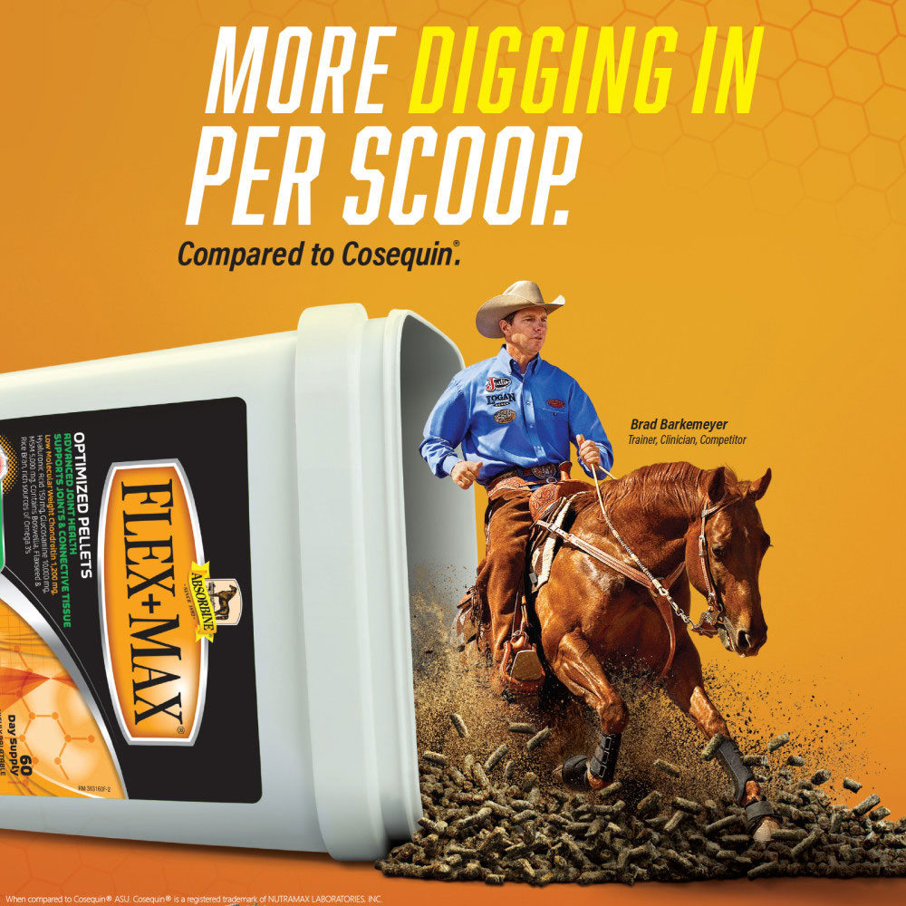 ABSORBINE-FLEX-MAX-OPTIMIZED-PELLETS-ADVANCED-JOINT-HEALTH-10LB